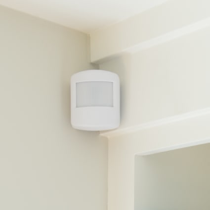 Binghamton motion sensor