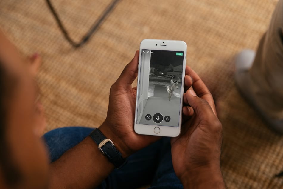 Oneonta NY security system